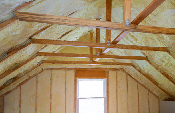 Best Commercial Insulation in Solomon, KS