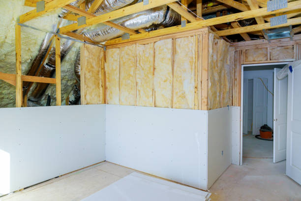 Best Insulation Installation Services in Solomon, KS