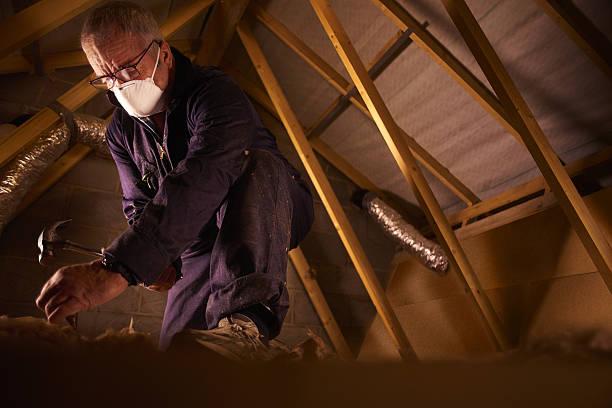Best Commercial Insulation in Solomon, KS